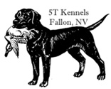 5T Kennels logo