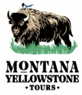 Montana Yellowstone Tours logo