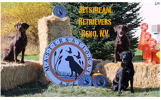 Jetstream Retrievers logo
